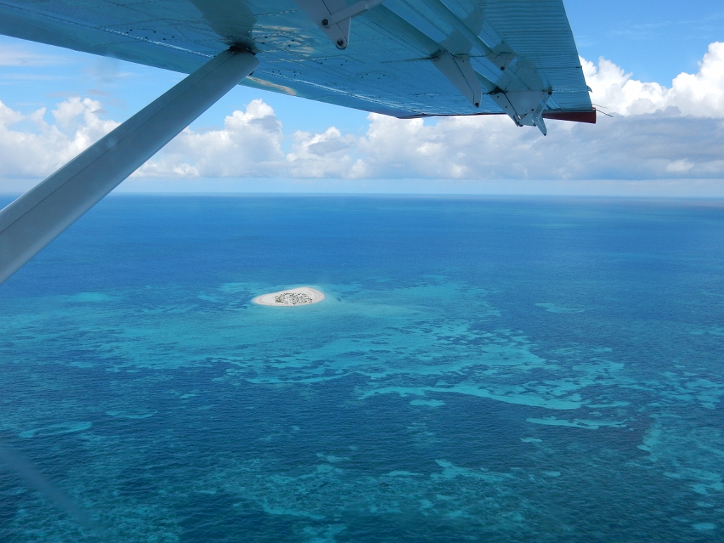 DSCN0092.JPG - Key West Seaplane Adventures - Dry Tortugas National Park