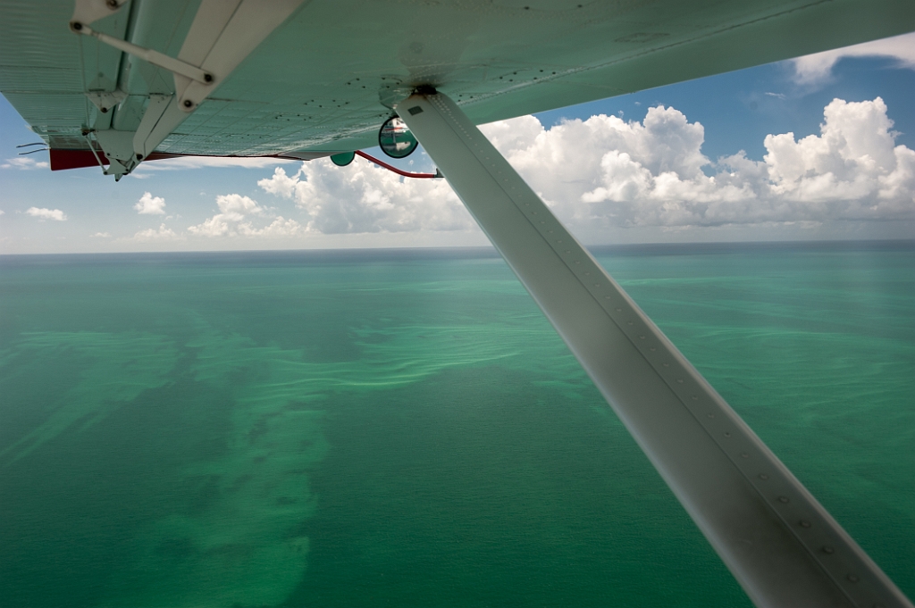 _DSC2612.jpg - Key West Seaplane Adventures - Dry Tortugas National Park