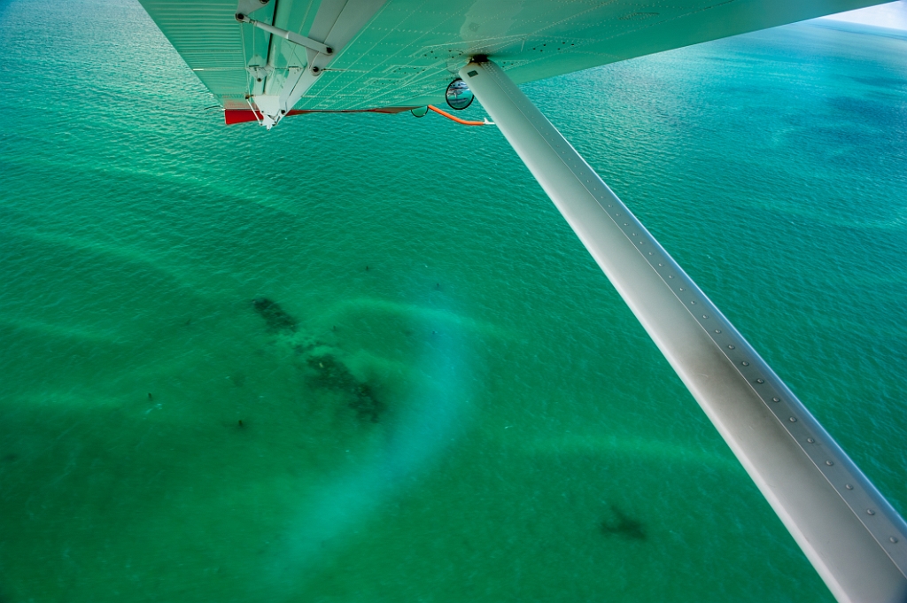 _DSC2679.jpg - Key West Seaplane Adventures - Dry Tortugas National Park