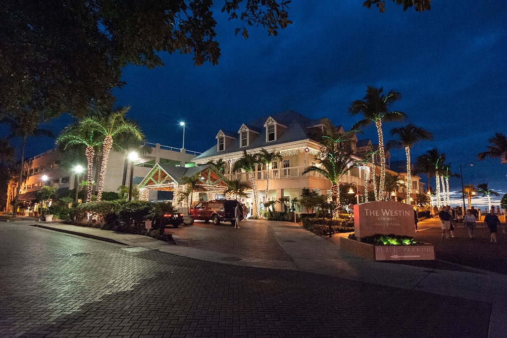 DSC_8756.jpg - Christmas lights Key West