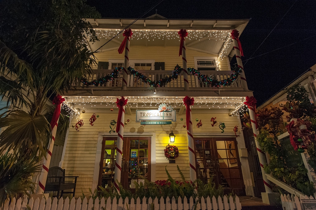 DSC_8758.jpg - Christmas lights Key West