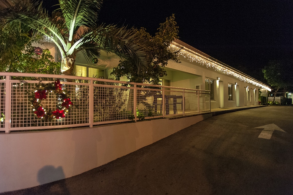 DSC_8765.jpg - Christmas lights Key West