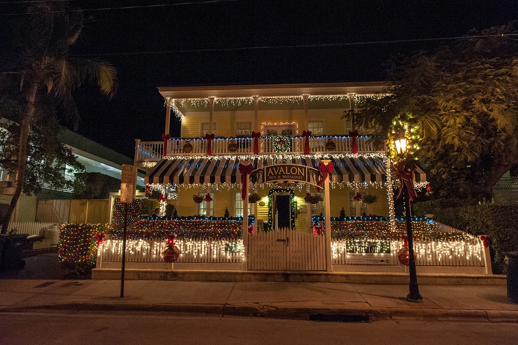 DSC_8773.jpg - Christmas lights Key West