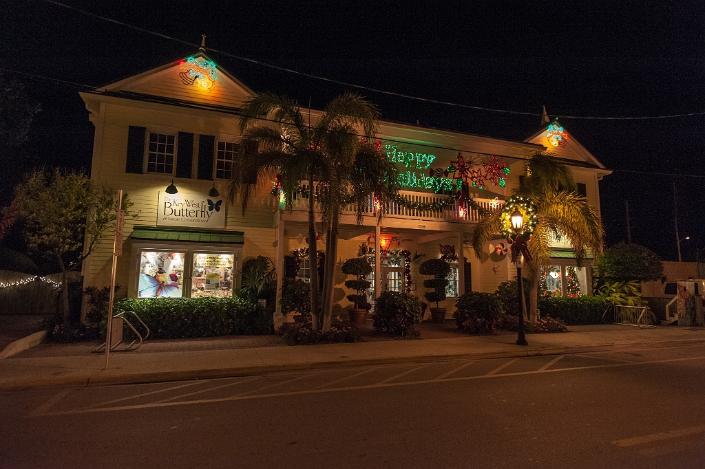 DSC_8777.jpg - Christmas lights Key West