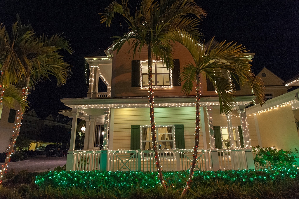 DSC_8788.jpg - Christmas lights Key West
