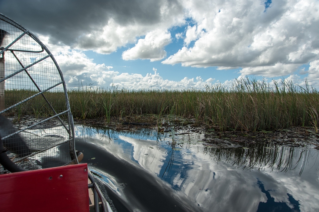 DSC_8873.jpg - Everglades