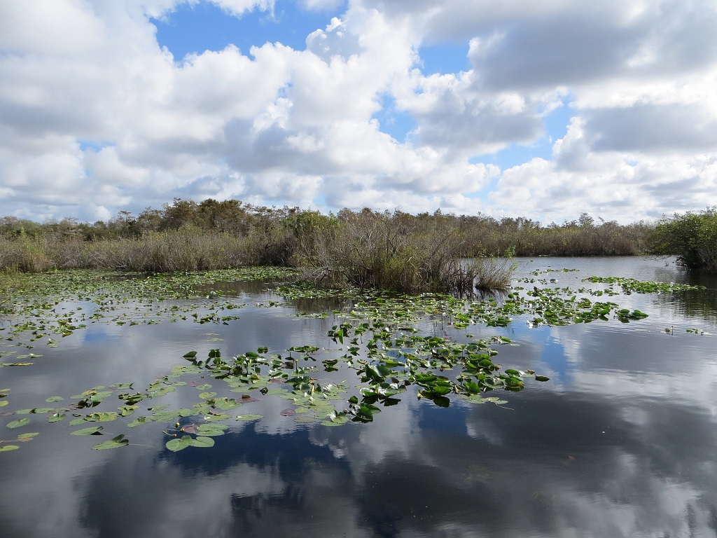 IMG_0013.jpg - Everglades