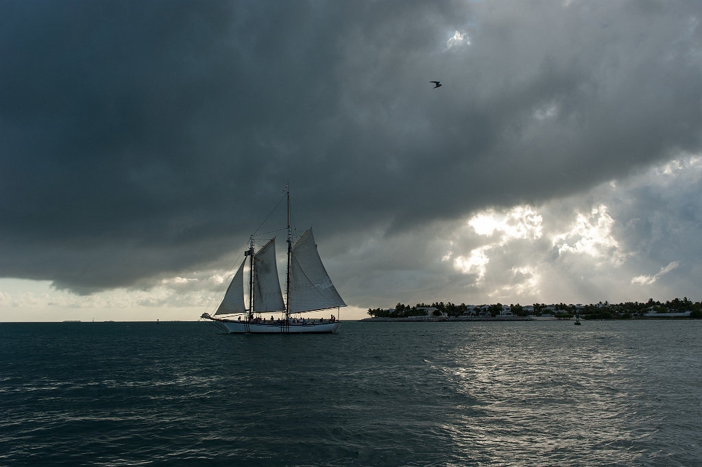 DSC_9710.jpg - Key West 2013