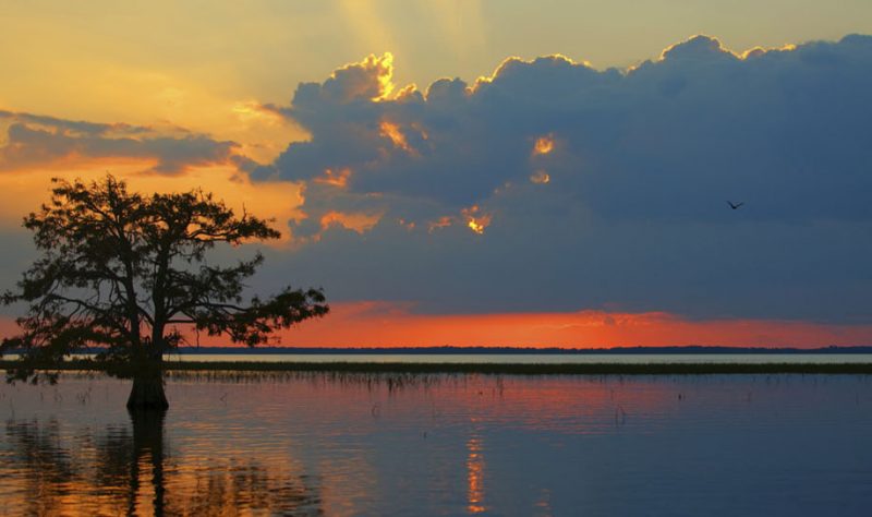 Florida-Everglades-at-Sunset-918×544